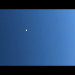 Meet your Posher, Amor